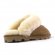 UGG Slippers Scufette Сhestnut - 39