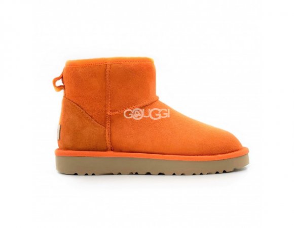 Mini California Poppy - 38