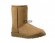 Classic Short Chestnut II - 38