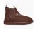 Neumel Chelsea - CGrizzly