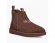 Neumel Chelsea - CGrizzly