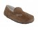 Ascot Chestnut
