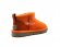 Ultra mini California Poppy