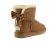 Mini Bailey Bow Medallion Chestnut