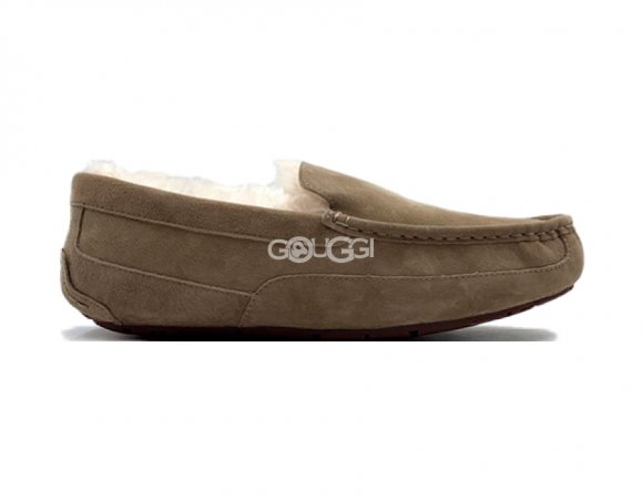 Ascot Olive